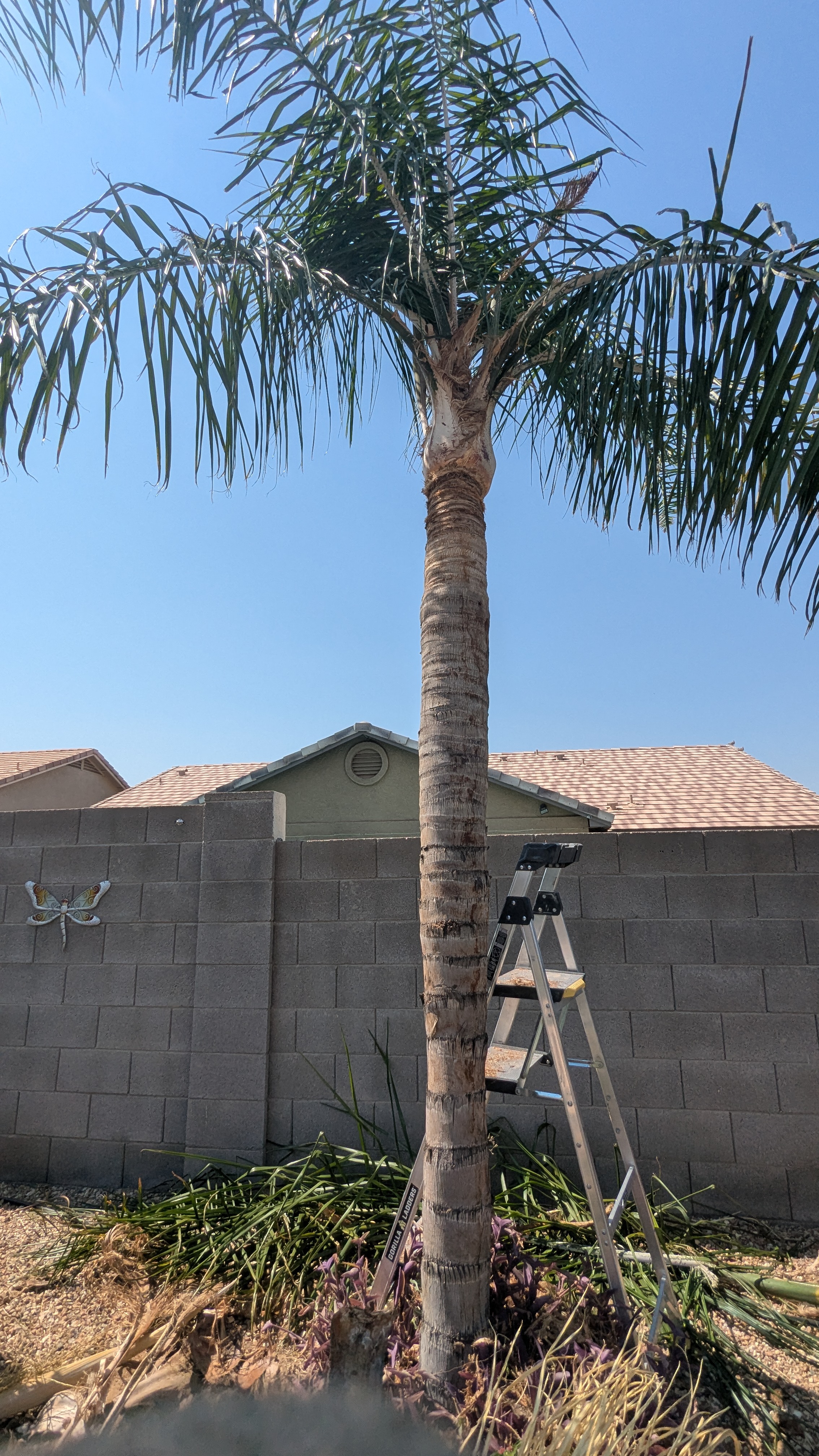 Tree Trimming 2